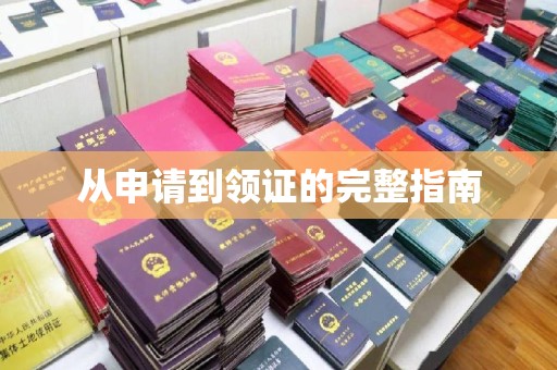 海林从申请到领证的完整指南