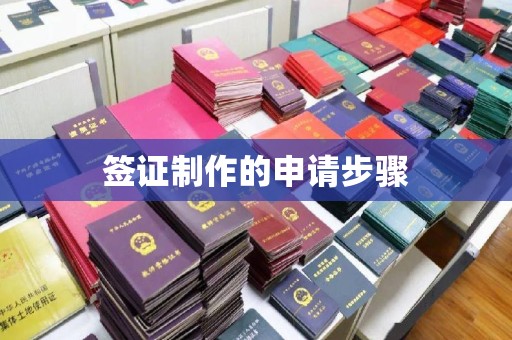 海林签证制作的申请步骤